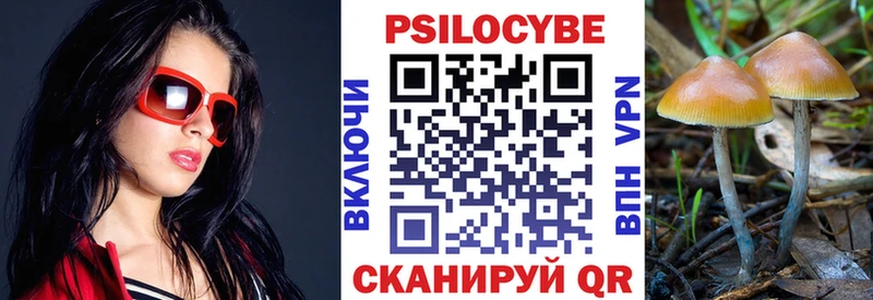 как найти закладки  hydra ССЫЛКА  Галлюциногенные грибы прущие грибы  Дегтярск 